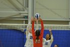 Wheaton Women's Volleyball  Wheaton Women's Volleyball vs Bridgewater State University. : Wheaton, Volleyball, BSU, Bridgewater State College